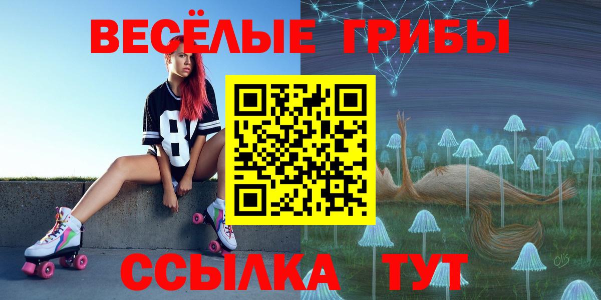Галлюциногенные грибы Psilocybine cubensis Саяногорск