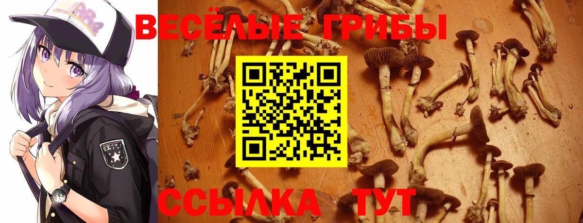 закладка  Галлюциногенные грибы мухоморы  Вход с VPN  Саяногорск  Псилоцибиновые грибы мицелий 